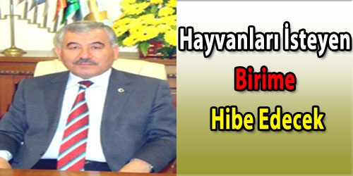 Hayvanları İsteyen Birime Hibe Edecek