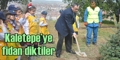 Kaletepe Ağaçlandırıldı