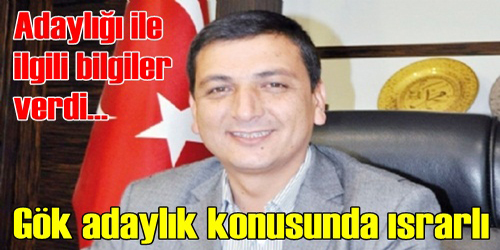 Gök Ciddi Düşünüyor ..