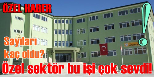 Kaç tane oldular!