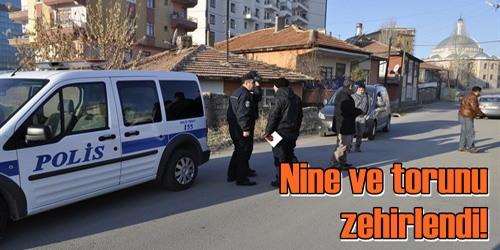 Nine İle Torunu Zehirlendi