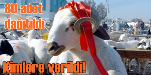 Konsey Yardımı