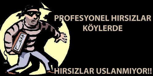 PROFOSYENEL HIRSIZLAR KÖYLERDE