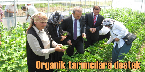 Organik Tarımcılara Destek