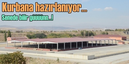 Kesimhane kurbana hazır