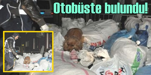 Otobüste bulundu!