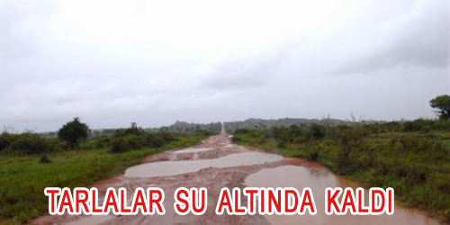 Ekili Alanlar Sular Altında Kaldı