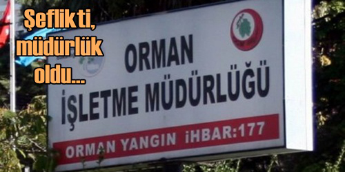 Olumlu Gelişme