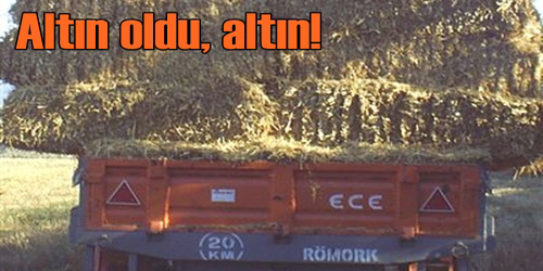 BESİCİLER ÇOK ENDİŞELİ!