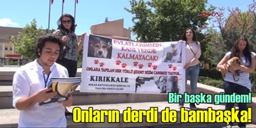 Onların derdi de bambaşka!