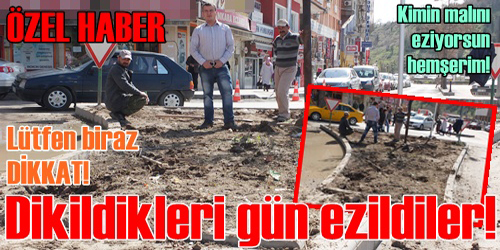 KİMİN MALINI EZİYORSUN HEMŞERİM!