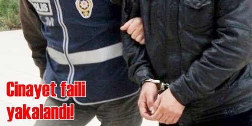 Cinayet faili tutuklandı