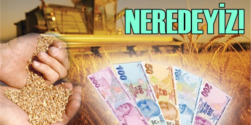 Tarım Payımız Açıklandı
