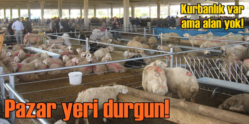 Pazar Yeri Durgun