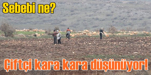 Çiftçi Kara Kara Düşünüyor