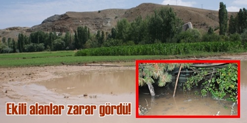 Ekili alanlar zarar gördü