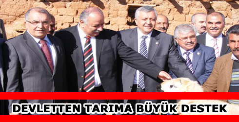 Küçük Baş Hayvan Verildi