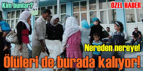 Nereden Nereye!