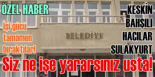 Siz ne işe yararsınız?