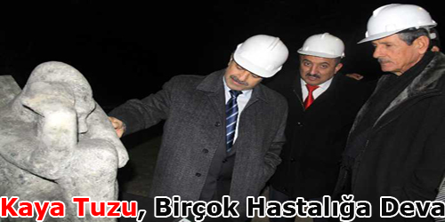 Kaya Tuzu, Birçok Hastalığa Deva