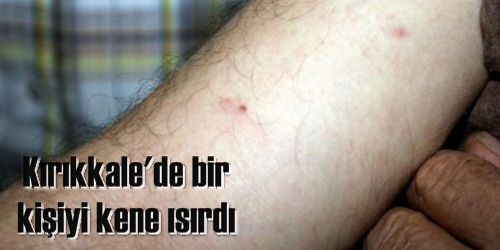 Yine Kene Vakası