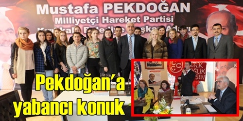 Pekdoğan